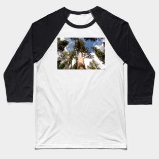 Pine Trees Baseball T-Shirt